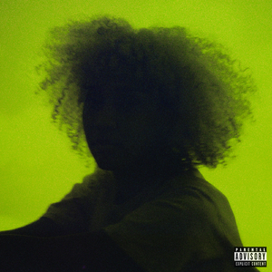 美女裸体被日网站
